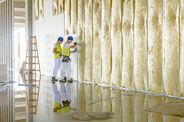 Best Residential Insulation in North Lakeville, MA